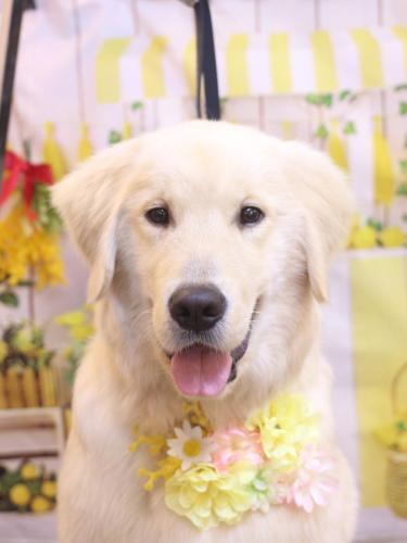 20240412レオくん